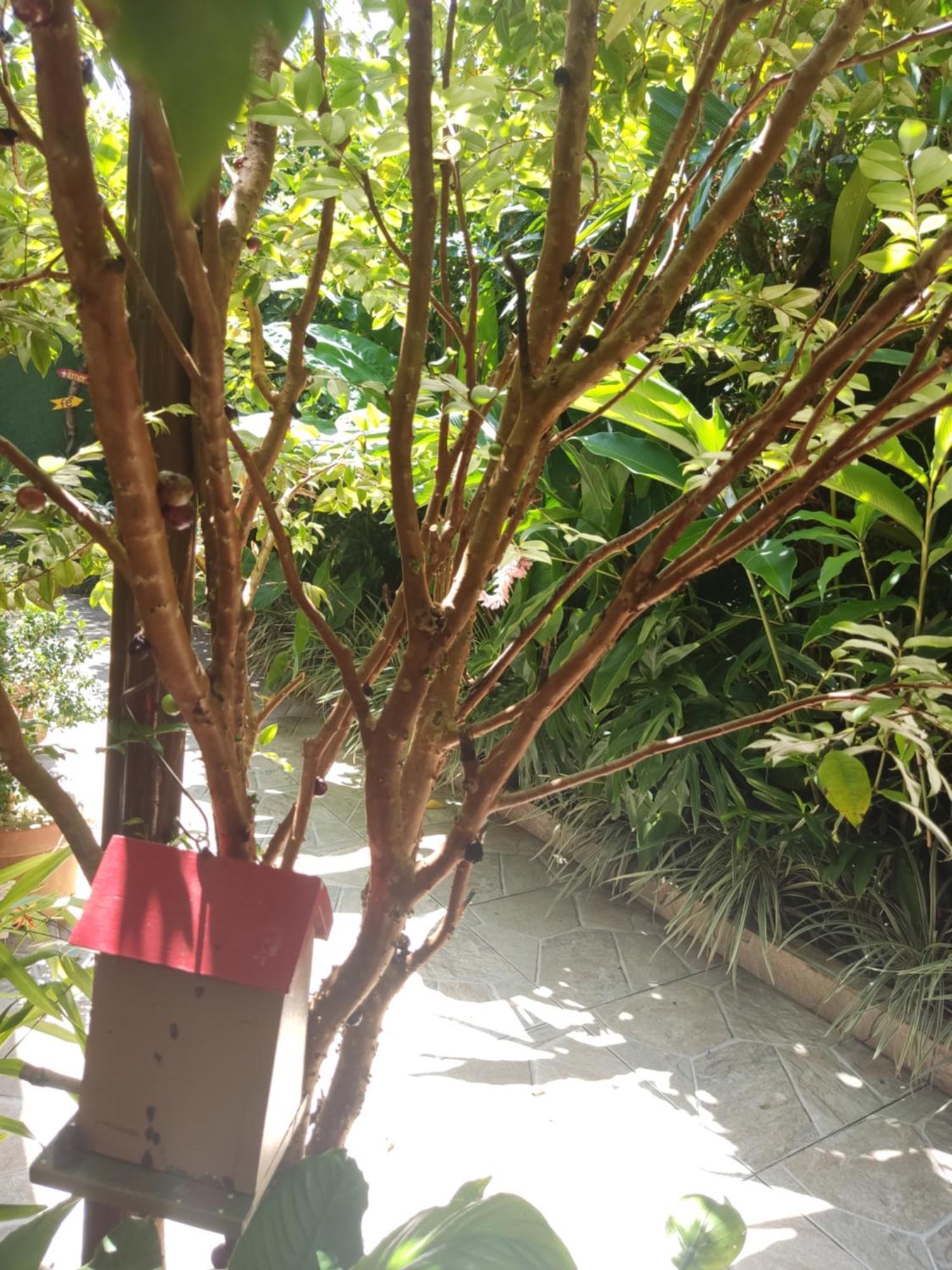 Recanto Toca Das Plantas De Ilhabela I 객실 사진